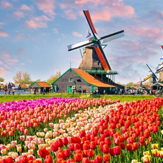 夏戀鬱金香～春遊荷比法10日(桃園出發)