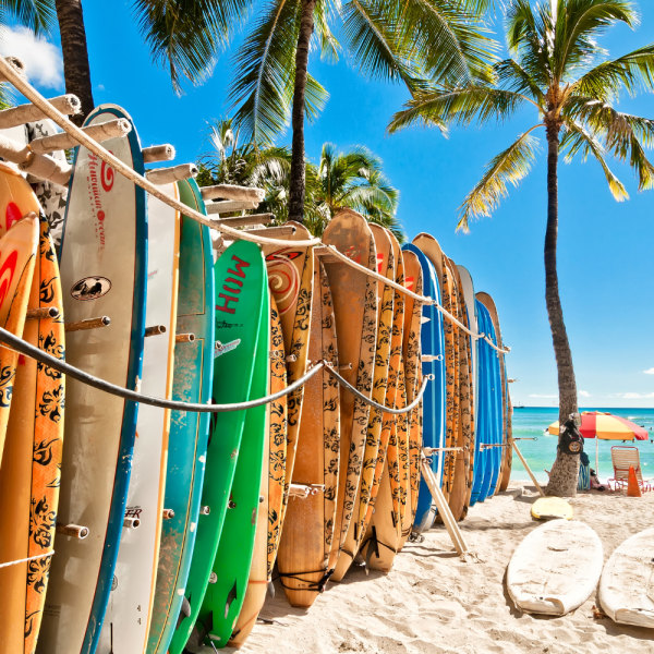 夏威夷600 600 (2)