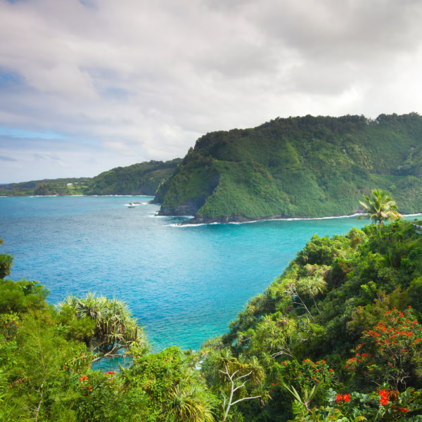 夏威夷600 600 (6)